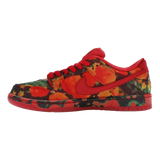 Dunk Low SB x Wizard of Oz