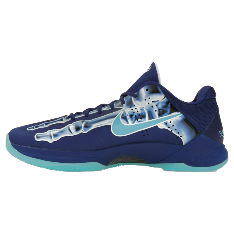 Kobe 5 X-Ray